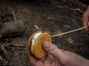 A s'more