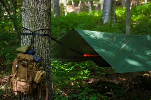Hammock in the woods