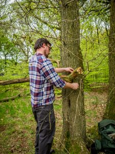 Square lashing the ridge limb