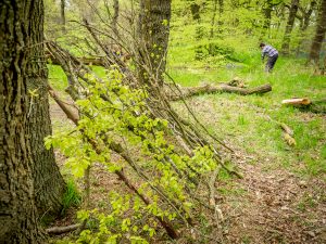 Weaving smaller branches into the frame