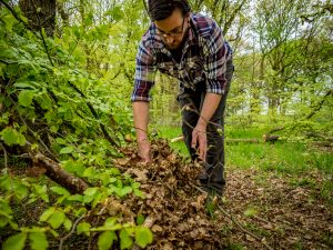 Using smaller branches and debris