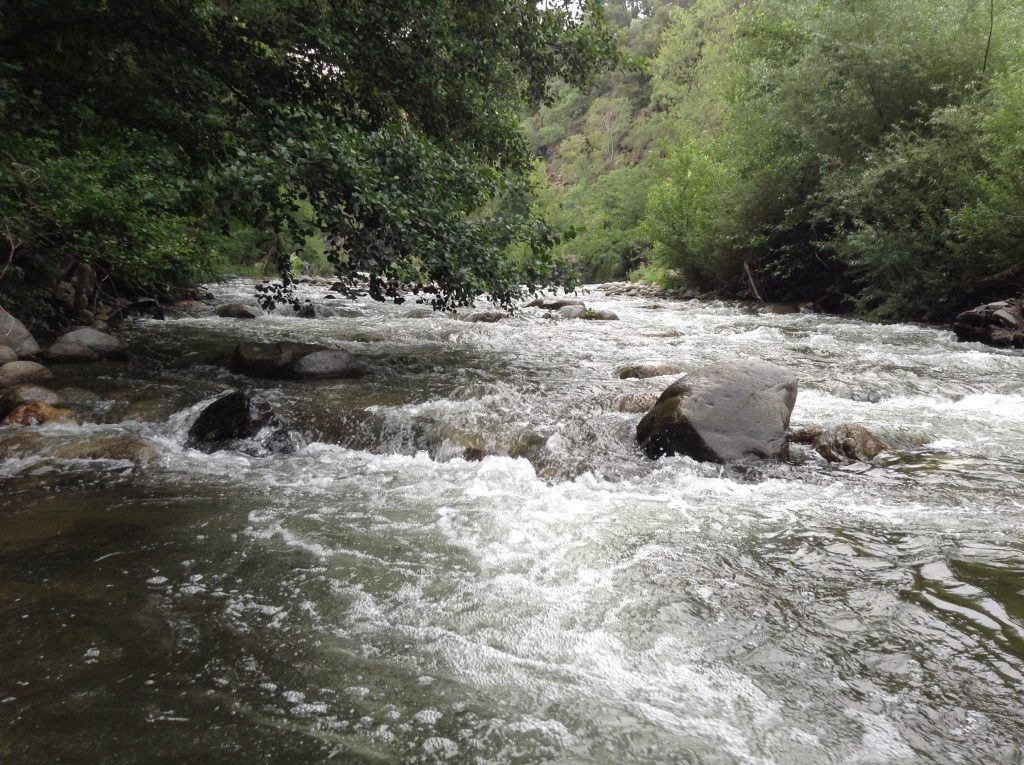 Fast flowing river