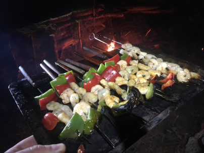 Kebabs prepared for the party