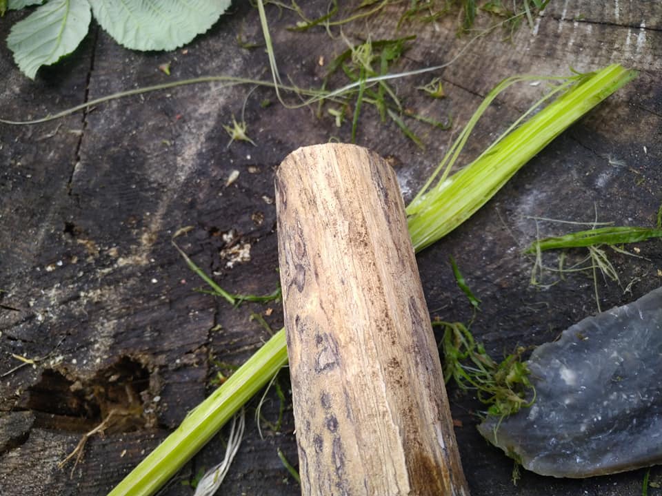 Crushing the stem with a piece of wood