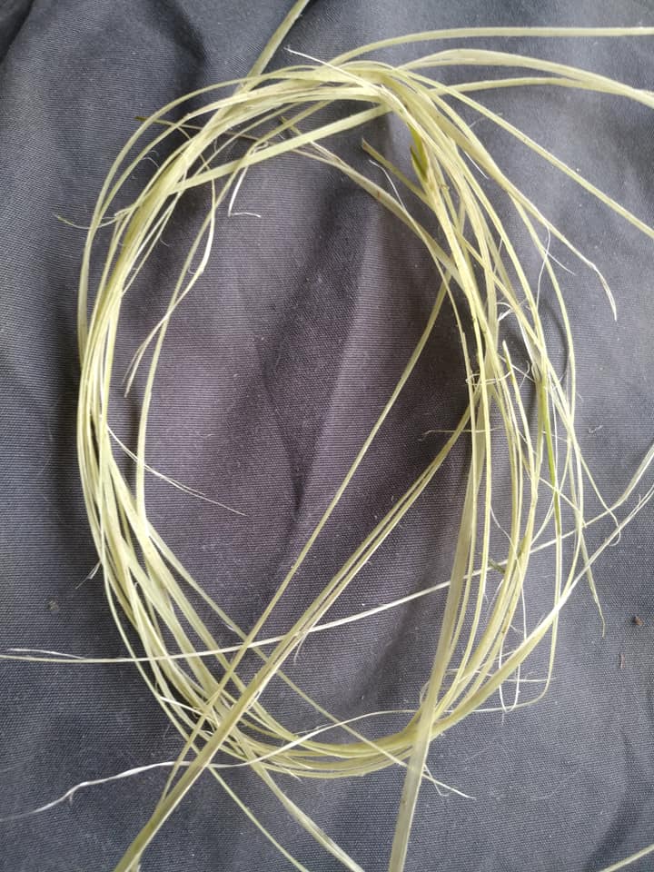 Thin strands of fibre