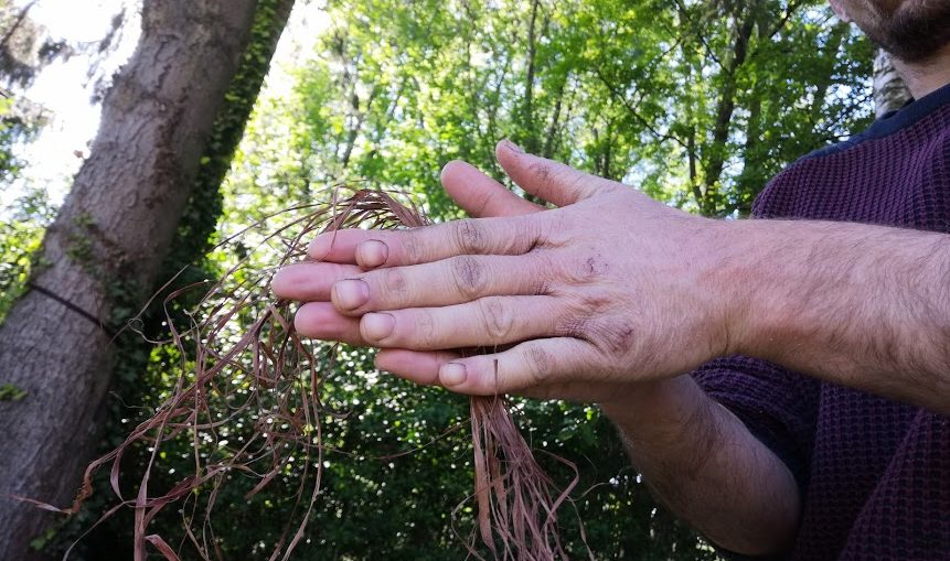 Making willow bark cordage