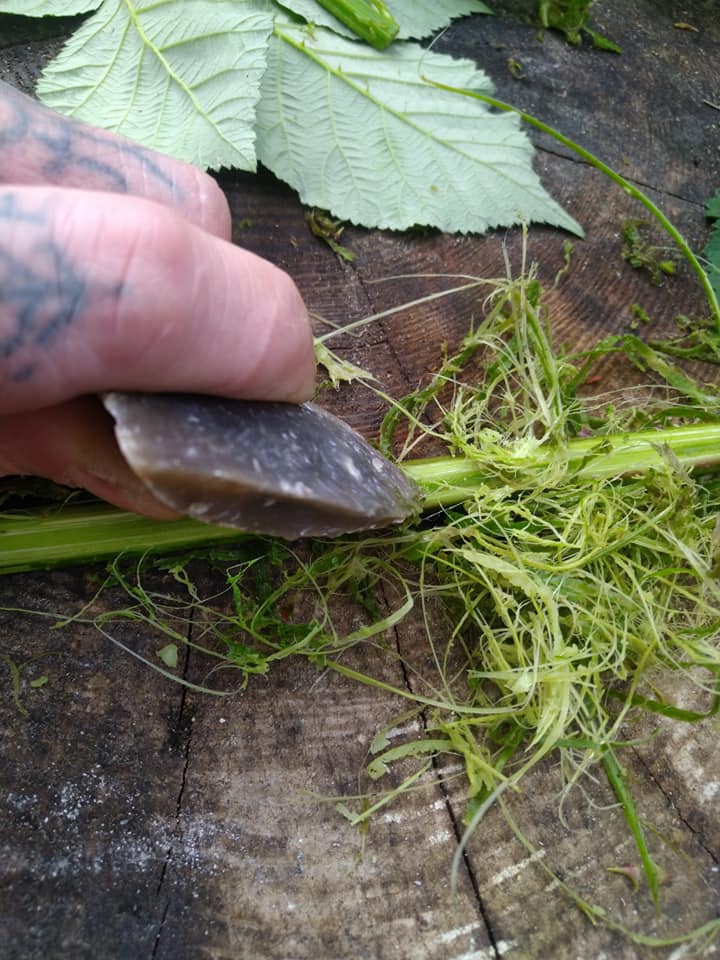 Removing the outer skin of the stem