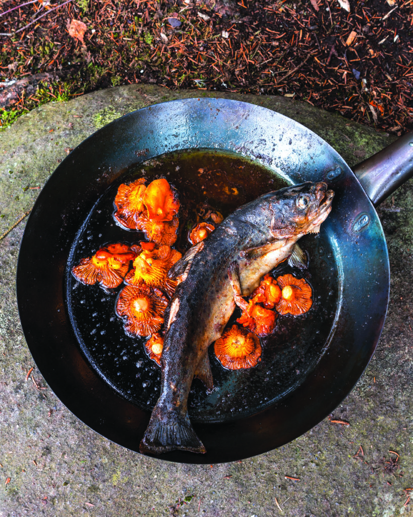Frying trout and chanterelles
